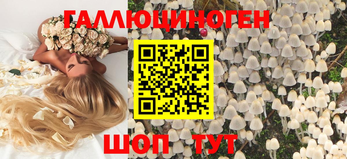 купить наркотик  Вход с VPN  Раменское  Псилоцибиновые грибы Cubensis 
