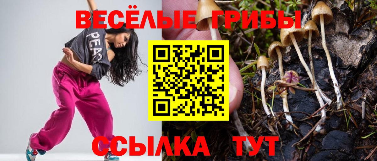 Галлюциногенные грибы Psilocybine cubensis Раменское